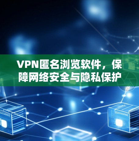 VPN匿名浏览软件，保障网络安全与隐私保护