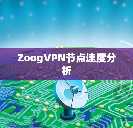 ZoogVPN节点速度分析