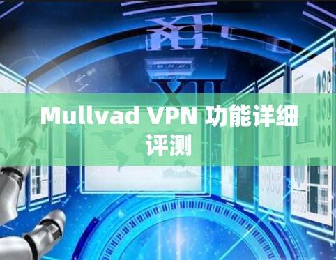 Mullvad VPN 功能详细评测 Mullvad VPN 功能详细评测