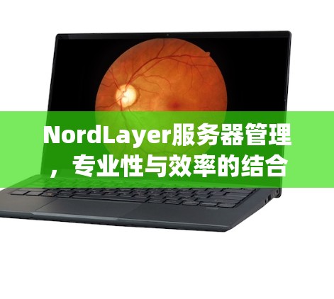 NordLayer服务器管理，专业性与效率的结合