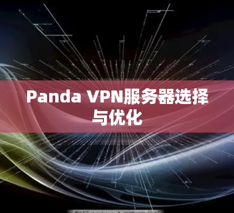 Panda VPN服务器选择与优化