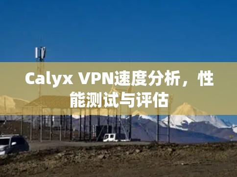 Calyx VPN速度分析，性能测试与评估
