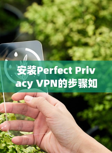 安装Perfect Privacy VPN的步骤如下