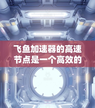 飞鱼加速器的高速节点是一个高效的数据传输和存储系统，旨在提供快速的数据访问和传输服务。以下是其关键功能和特点