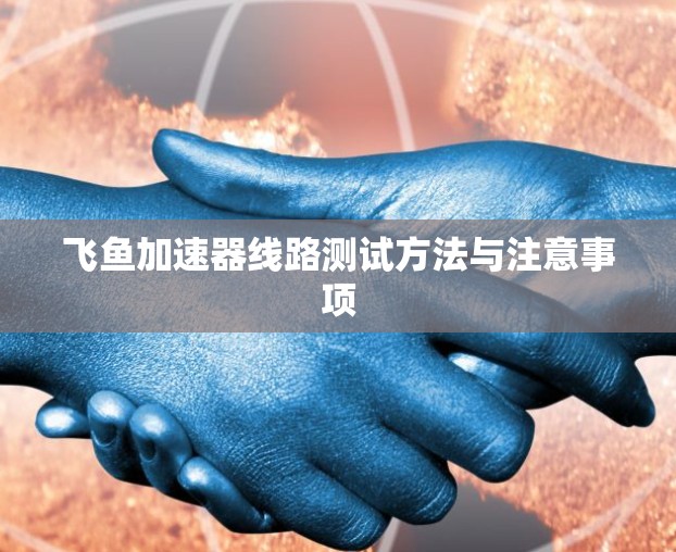 飞鱼加速器线路测试方法与注意事项 飞鱼加速器线路测试方法与注意事项