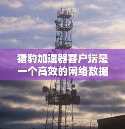 猎豹加速器客户端是一个高效的网络数据传输解决方案，旨在优化数据传输性能，适用于内容分发、云计算、分布式系统等多个领域。以下是对猎豹加速器客户端的详细分析和使用指南