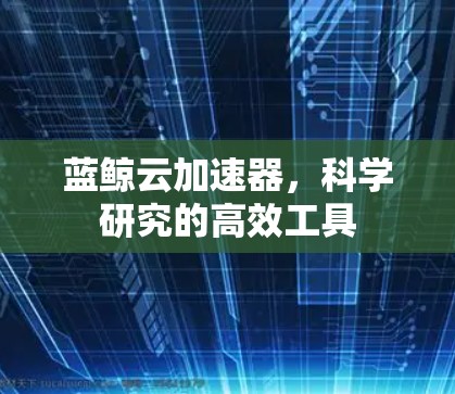 蓝鲸云加速器,科学研究的高效工具 蓝鲸云加速器,科学研究的高效工具