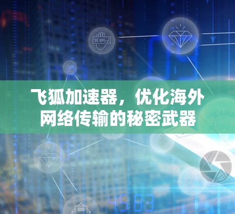 飞狐加速器，优化海外网络传输的秘密武器