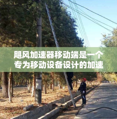 飓风加速器移动端是一个专为移动设备设计的加速器解决方案,旨在利用移动设备的优势,提供便携、高效的数据处理和加速能力。以下是对飓风加速器移动端的详细分析和总结 飓风加速器移动端是一个专为移动设备设计的加速器解决方案,旨在利用移动设备的优势,提供便携、高效的数据处理和加速能力。以下是对飓风加速器移动端的详细分析和总结