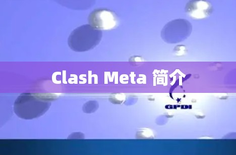Clash Meta 简介 Clash Meta 简介