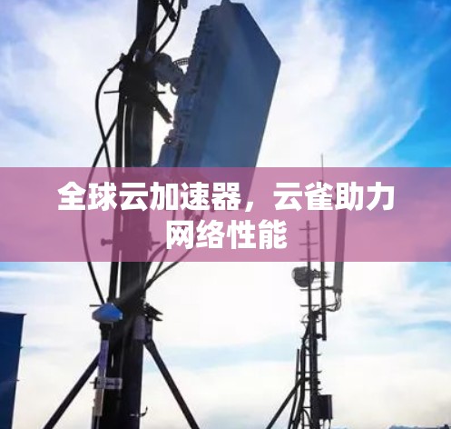 全球云加速器，云雀助力网络性能